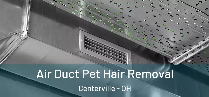  Air Duct Pet Hair Removal Centerville - OH