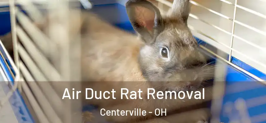 Air Duct Rat Removal Centerville - OH