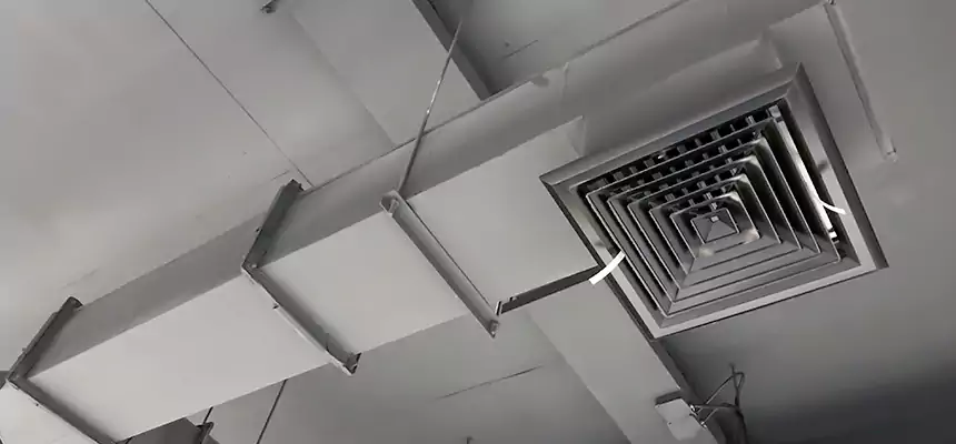 Our Rodent Droppings In Vents Services in Centerville, OH