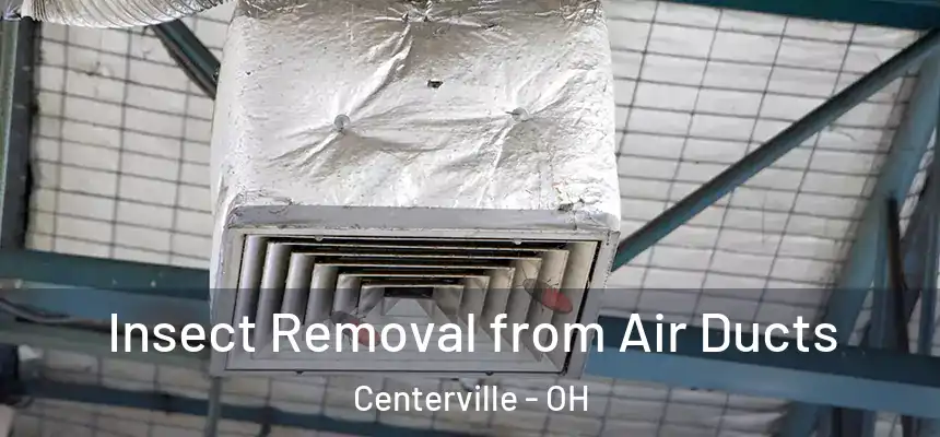 Insect Removal from Air Ducts Centerville - OH