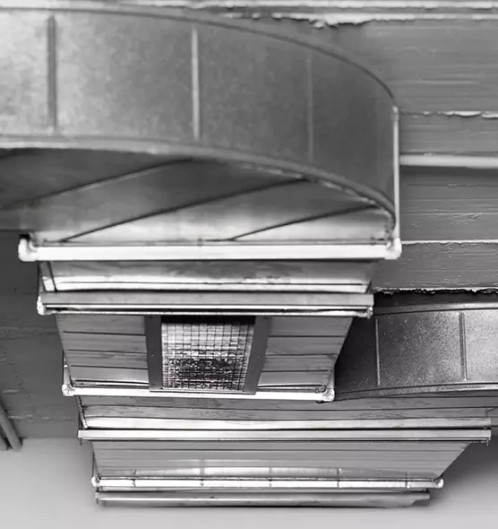 Professional Air Duct Pest Removal in Centerville, OH