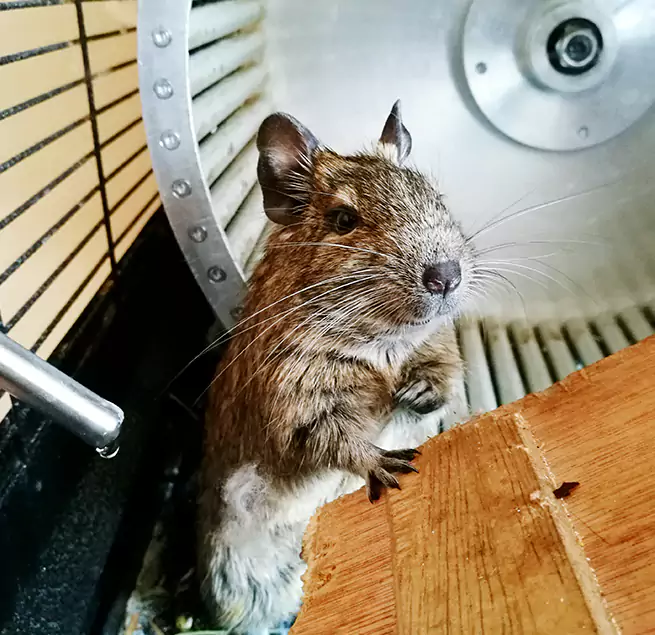 Why Homeowners & Businesses Trust Us Centerville, OH